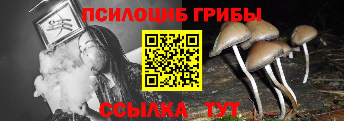 Галлюциногенные грибы мухоморы Дмитров